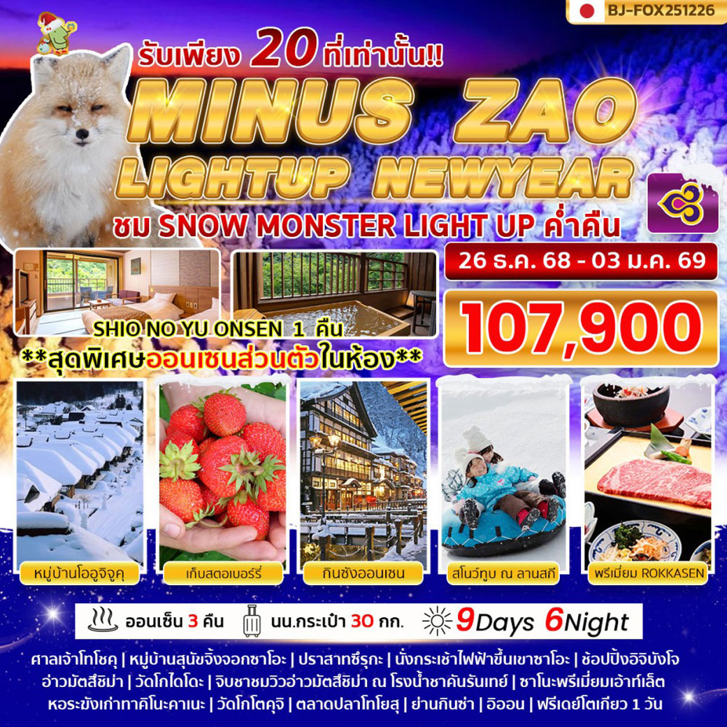 ทัวร์ญี่ปุ่น MINUS ZAO LIGHTUP NEWYEAR 9วัน 6คืน (TG)