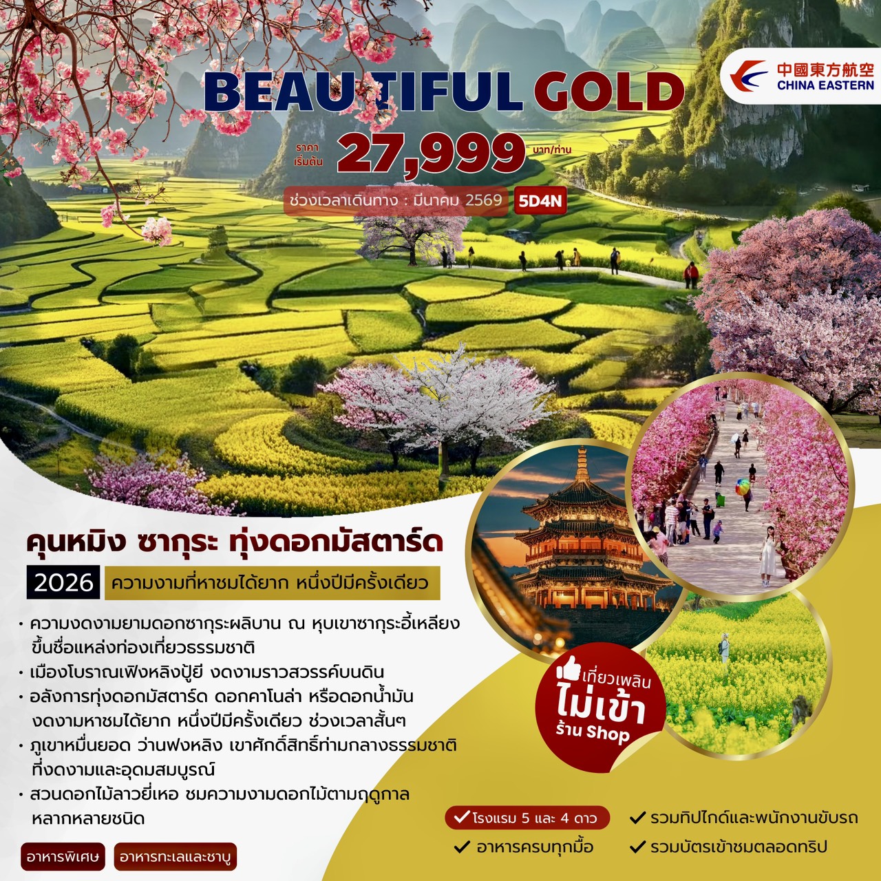 Kunming Beautiful Gold คุนหมิง ซากุระ ทุ่งดอกมัสตาร์ด