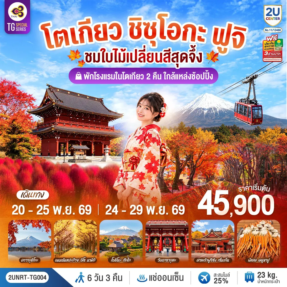 ทัวร์ญี่ปุ่น โตเกียว ชิซุโอกะ ฟูจิ นั่งกระเช้าคาจิคาจิ ชมใบไม้เปลี่ยนสีสุดจึ้ง 6วัน 3คืน (TG)